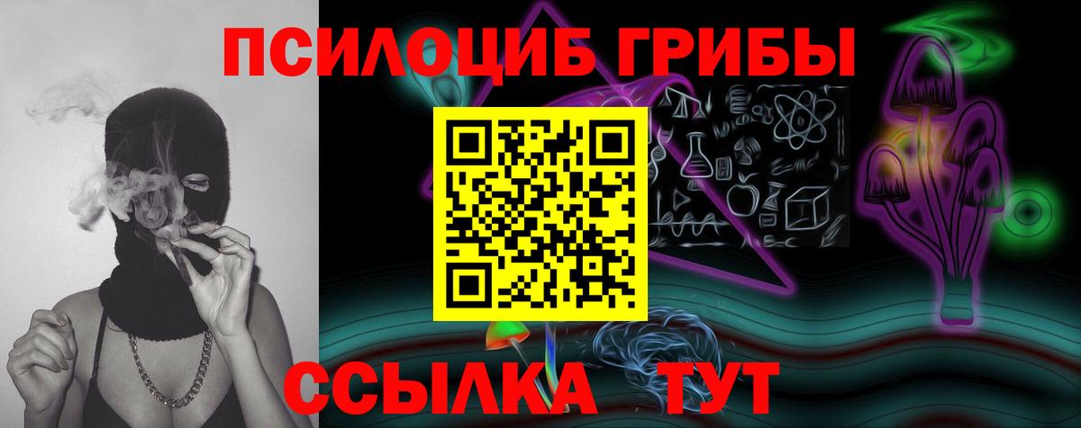 Менделеевск  Псилоцибиновые грибы мухоморы  Вход с VPN 